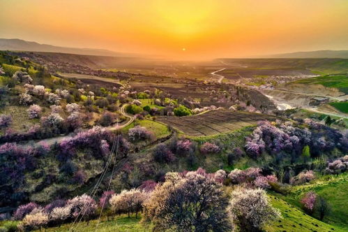 中國旅游集團打造 興疆 之旅