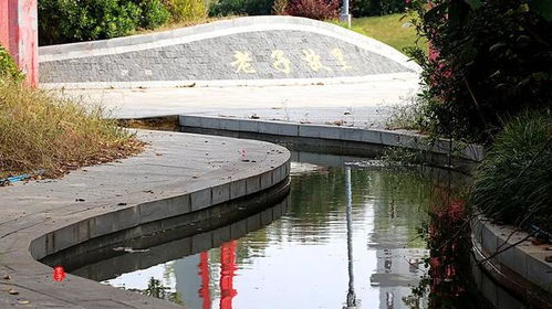 游覽過周口這座公園,其所轄各市縣區(qū)的景點就不必去了 中