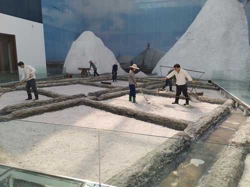 好客山東 百團山東行——濱州無棣站活動啟動，園區管理服務協同助力